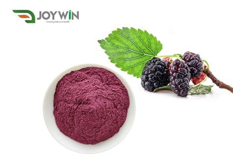 mulberry extract powder suppliers